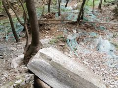 -北京上方山国家森林公园
