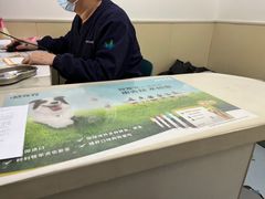 -佳怡动物医院·平价24小时·猫专科骨外科