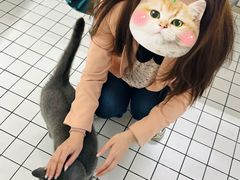 -ID.PHOTO照相馆(嘉里企业中心店)