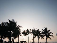 -白沙门生态公园