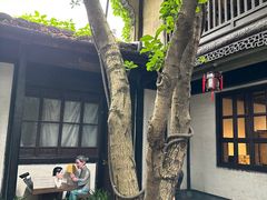 -绍兴鲁迅故里·沈园景区