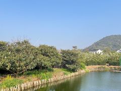 -树山生态村