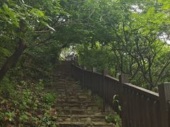 -大连植物园