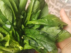 -口袋鸭砂煲火锅(解放路店)