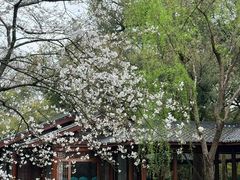 -西湖游船