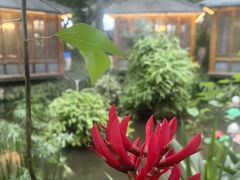 -大妙火锅·非物质文化遗产(东湖公园店)