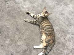 -疆Jiang·新疆秘制料理