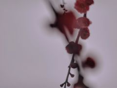 -杭州城北体育公园