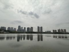 -月湖风景区