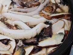 -菌之家·专业纯野生菌火锅·特色炒菌