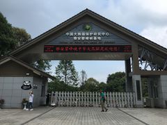 -中国大熊猫保护研究中心雅安碧峰峡基地