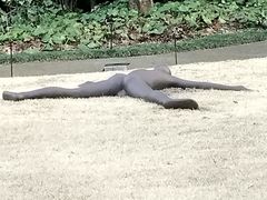 -雕刻之森美术馆