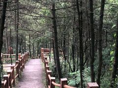 -商洛老君山旅游风景区