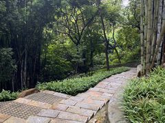 -黄埔油麻山森林公园