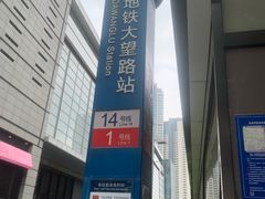 -大望路(地铁站)
