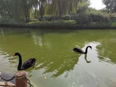 -河北省园博园
