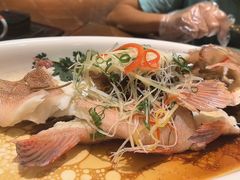 -龙悦湾酒家·八阵鱼生·渔人码头店