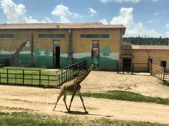 -鄂尔多斯野生动物园