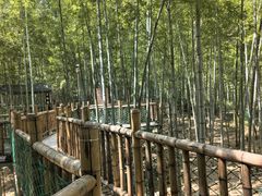 -陶祖圣境风景区