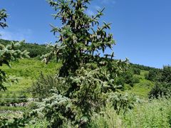 -灵山