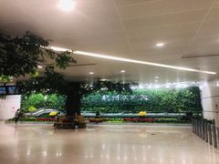 -杭州萧山国际机场