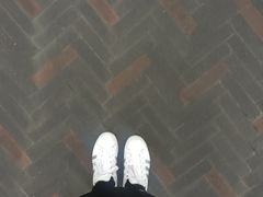 -金鸡山公园