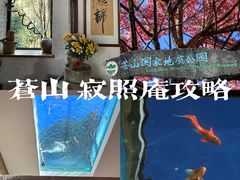 -寂照庵