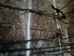 android_upload_pic-杭州逸设计师酒店(武林广场店)