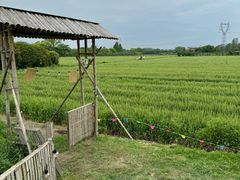 -良渚文化村