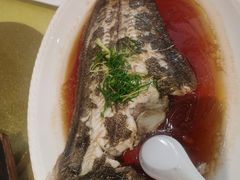 -阿四台山黄鳝饭(东门店)