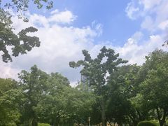 -晓港公园