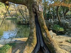 -绮园景区