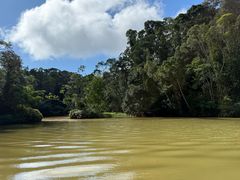-热带雨林自然公园