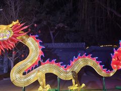 -世界地热博览园