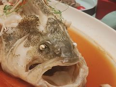 -八珍饺子·烤鸭·家常菜
