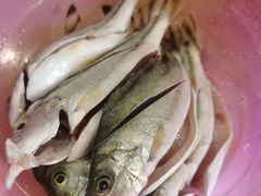 -蚝乡农庄(铁涌赤岸店)