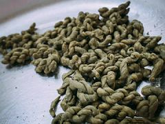 -王阿姨文昌油赞子(府桥街店)