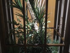 -三一行馆·日式禅意SPA足道·高空观景(解放碑店)