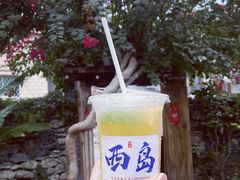 -三亚西岛海洋文化旅游区