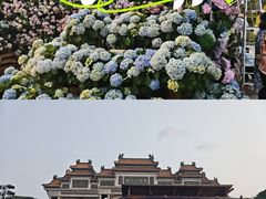 -顺峰山公园