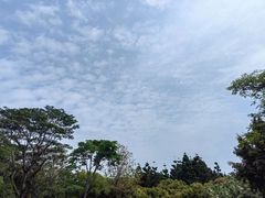 -深圳湾公园(南山区)