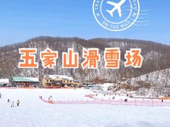景点-五家山森林公园滑雪场