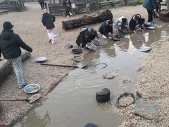 -疏芬山金矿
