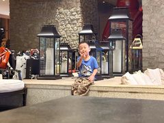 -清河半岛温泉度假酒店