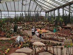 -南通洲际绿博园