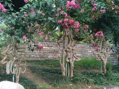 -武汉紫薇都市田园