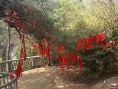 -禅宗三祖寺