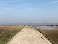 -南汇嘴观海公园