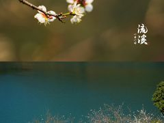 -广州市流溪河国家森林公园