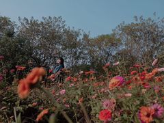 -盘龙城国家考古遗址公园